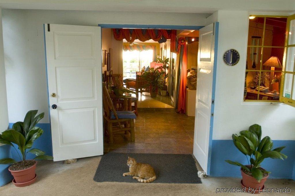 Hotel Mocking Bird Hill Port Antonio Interior foto