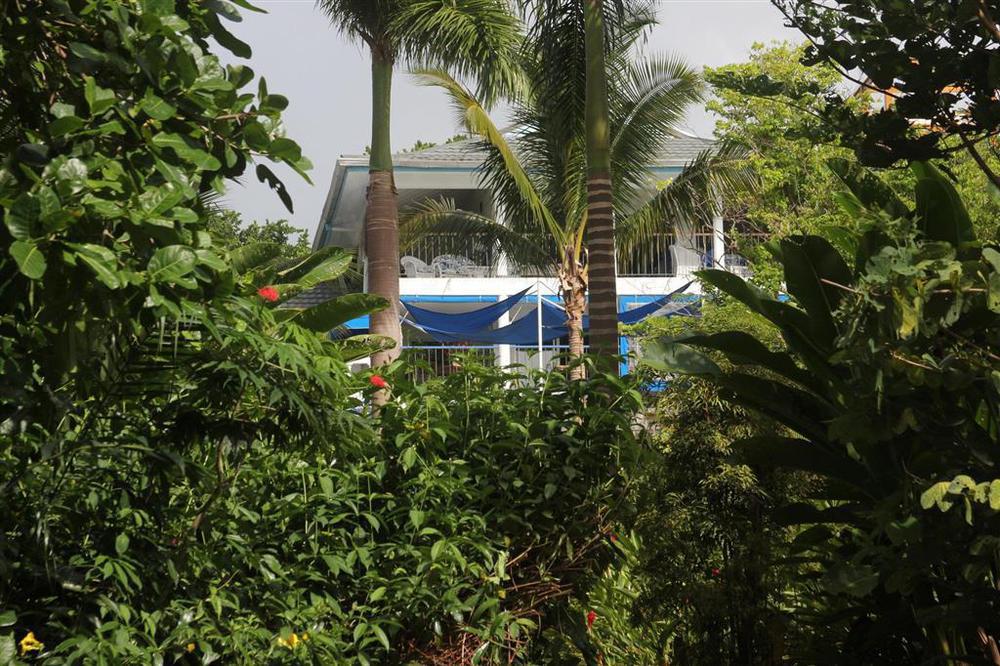 Hotel Mocking Bird Hill Port Antonio Exterior foto