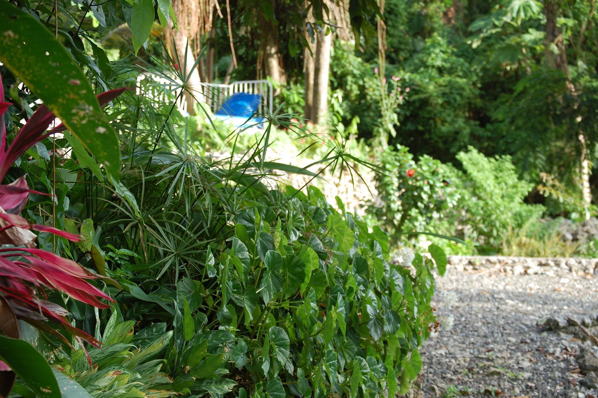 Hotel Mocking Bird Hill Port Antonio Exterior foto